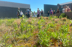 Green Roof